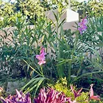 Casa Designo