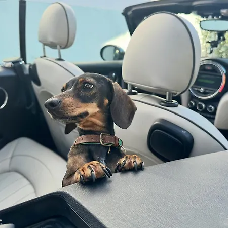 Σπίτι διακοπών Casa Designo