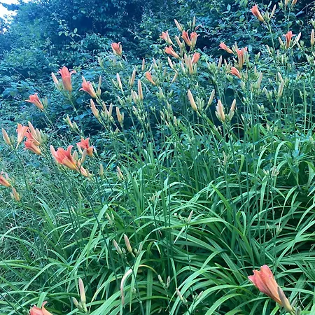 Casa Designo Rovasenda