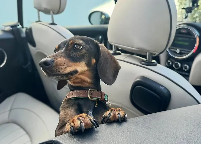 Ferienhaus Casa Designo