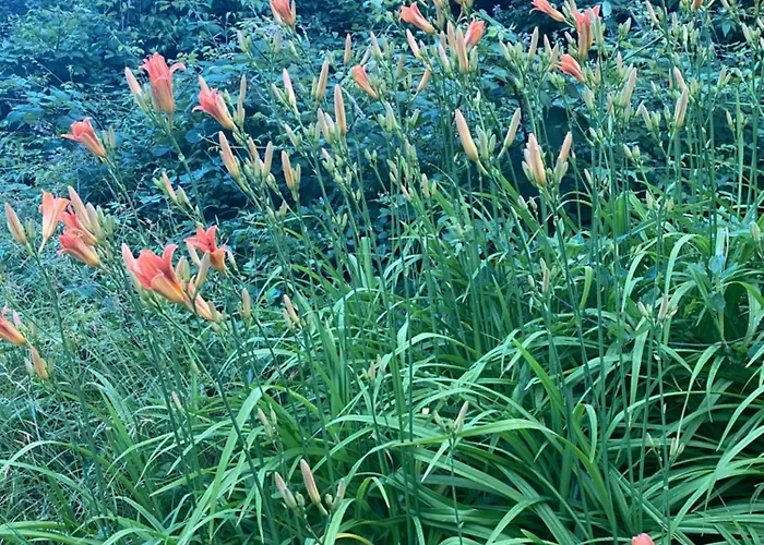 Casa Designo Rovasenda